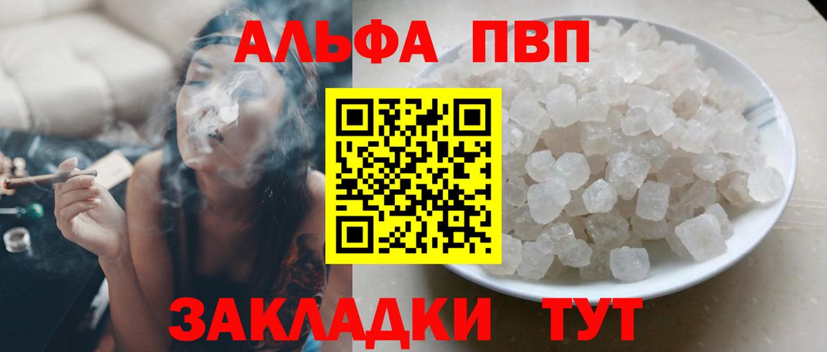 A PVP СК КРИС Старая Русса