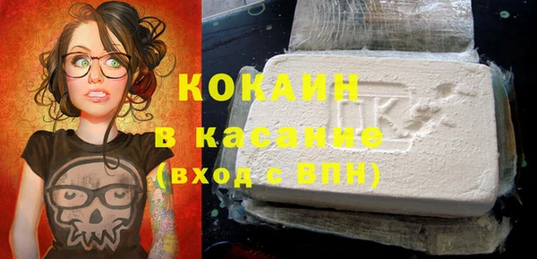 сатива Вяземский