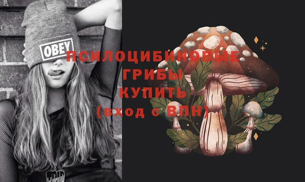 экстази Переславль-Залесский