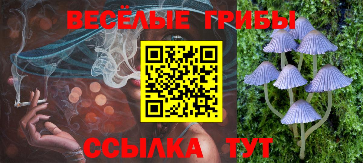 Галлюциногенные грибы ЛСД Старая Русса