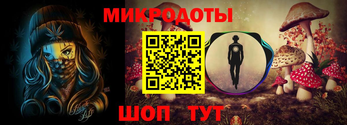 Псилоцибиновые грибы Cubensis  Старая Русса  Галлюциногенные грибы мицелий 