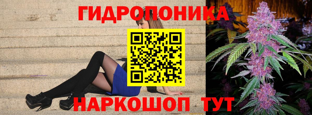Бошки марихуана OG Kush Старая Русса